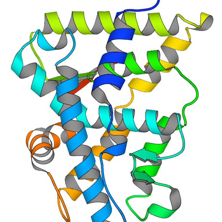 HNF4alpha by Bogan et al.