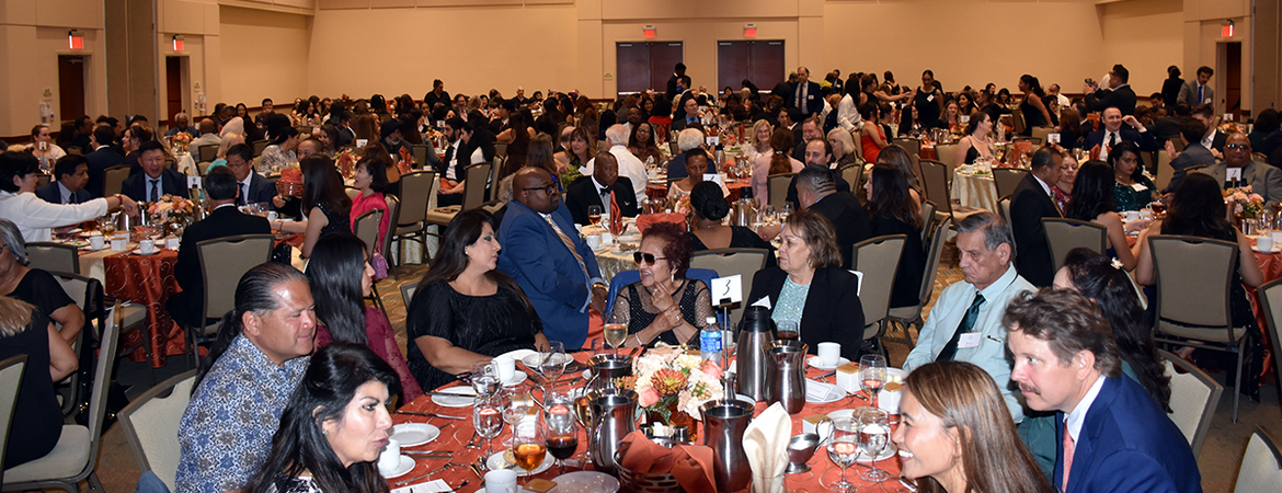 Crowd shot at the 2024 Gala