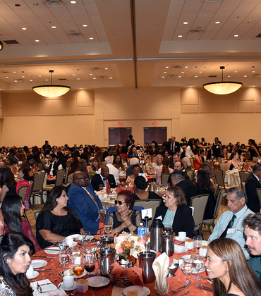 Crowd shot at the 2024 Gala