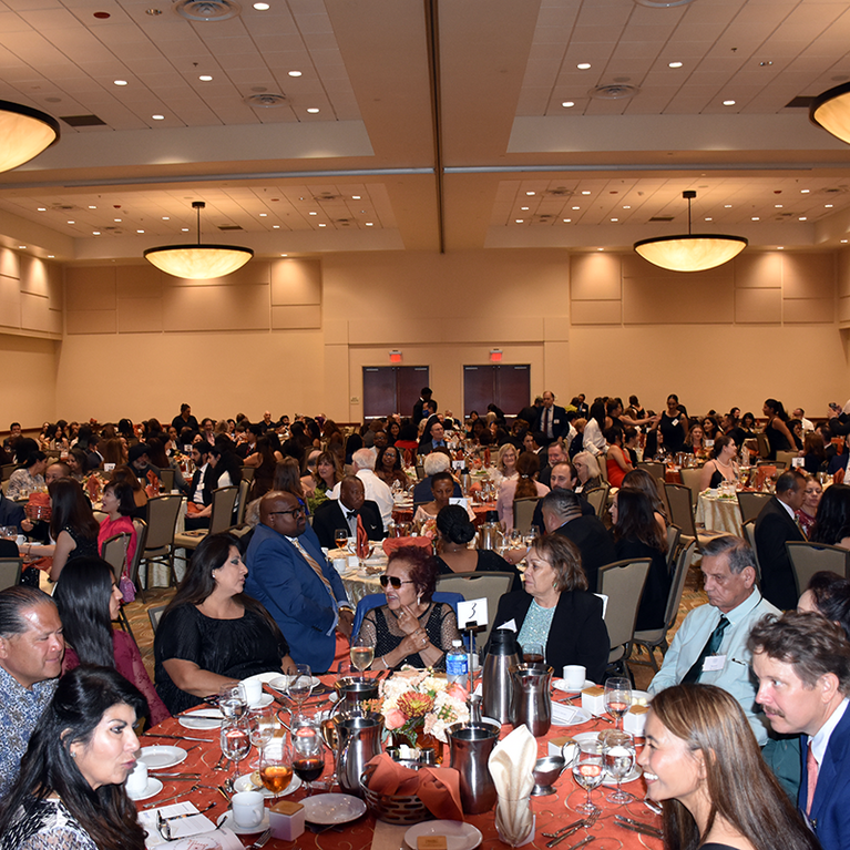 Crowd shot at the 2024 Gala