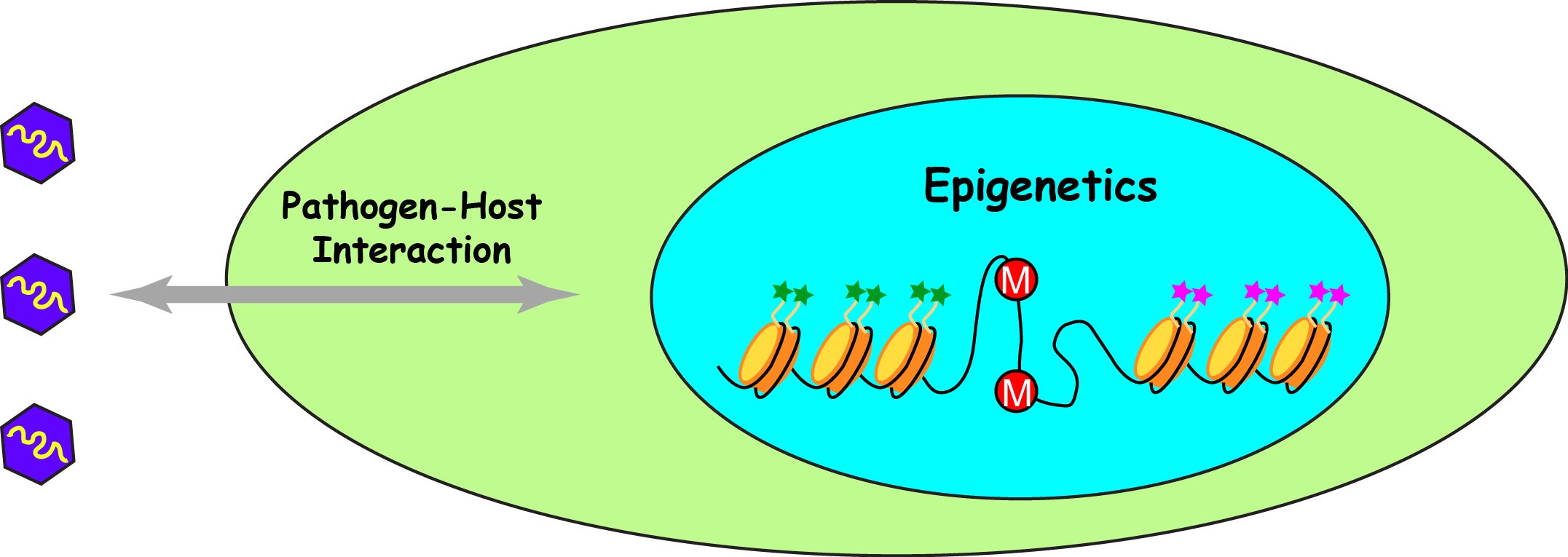 Song Lab-Research Overview