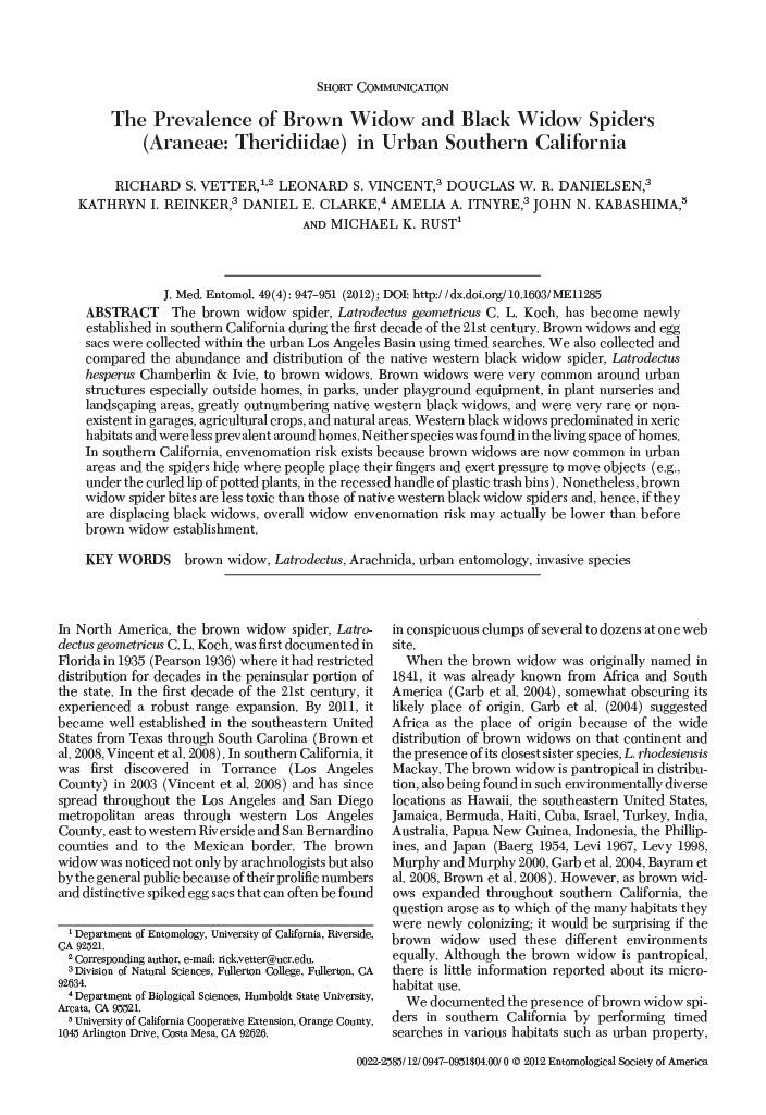 prevalence of brown widow 1