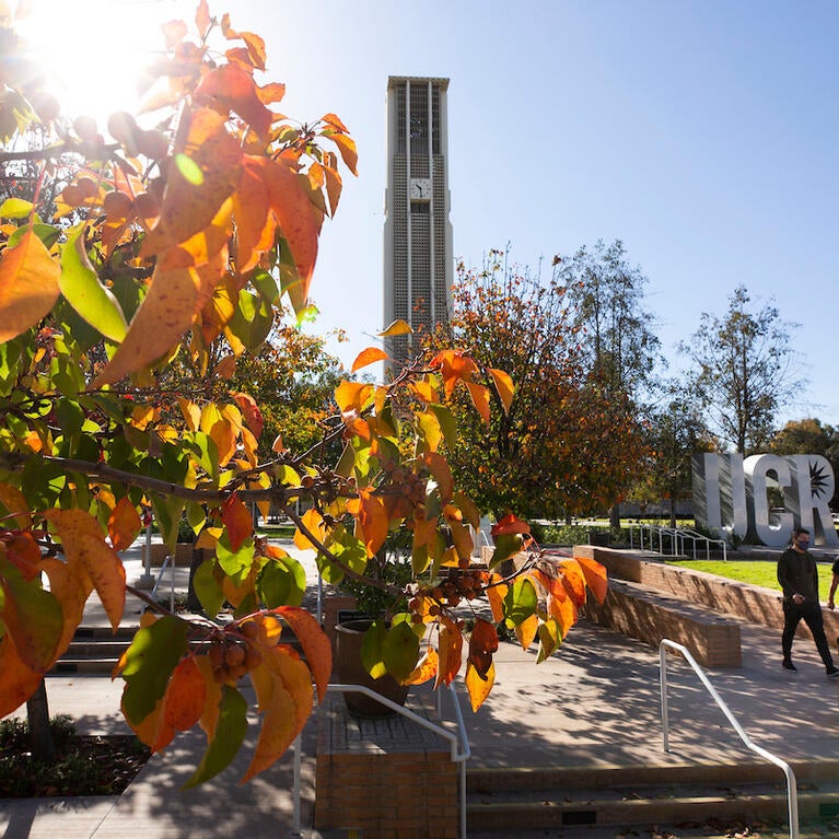 UCR Bell tower and letters