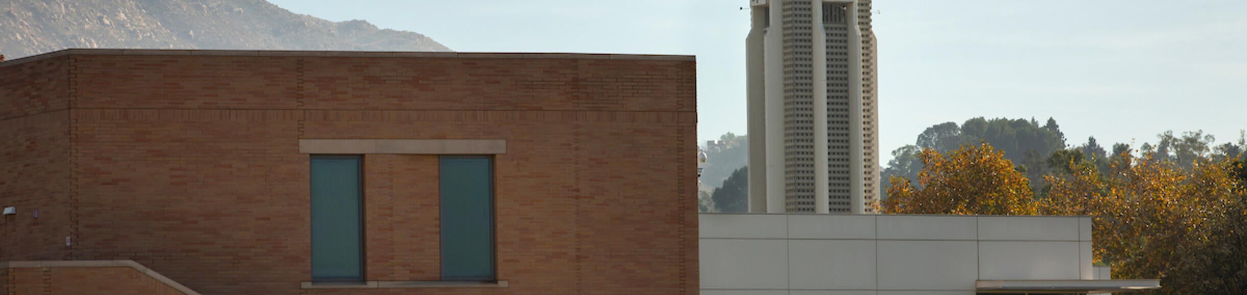 Interdisciplinary building and UCR belltower