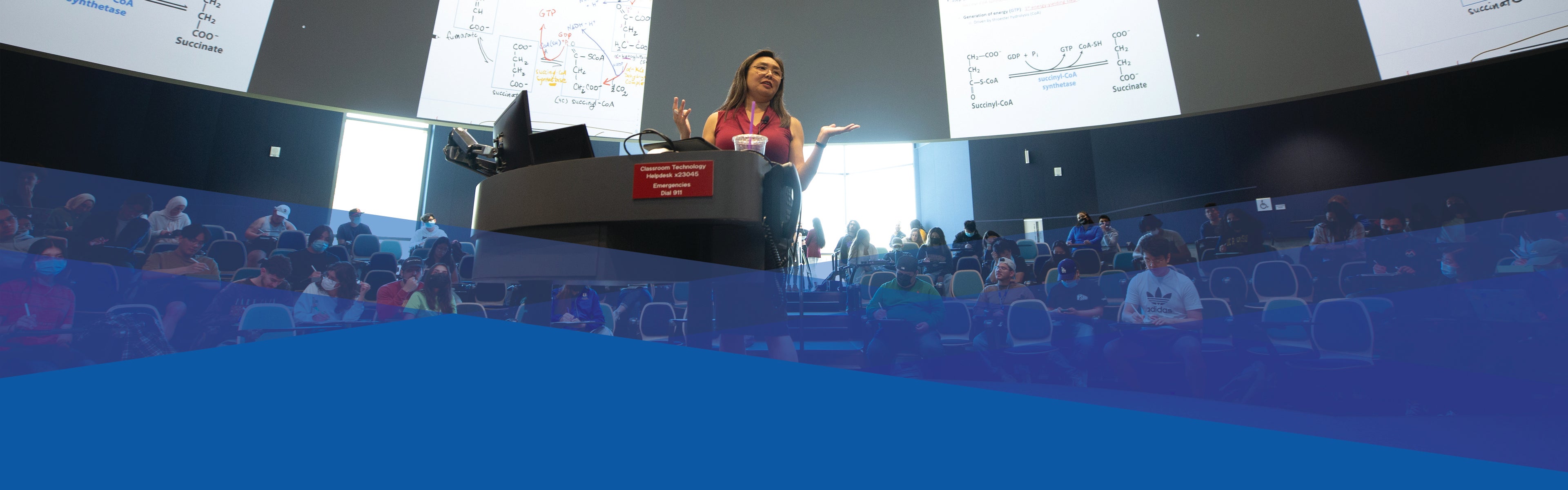 Information Technology Solutions