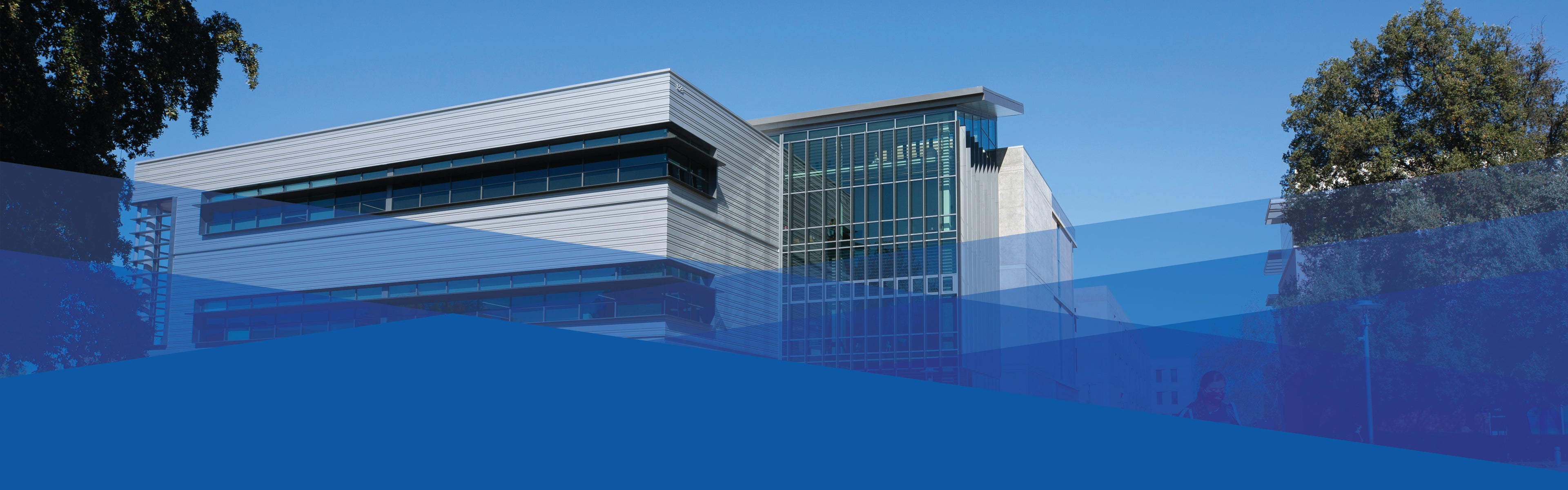 Undergraduate Education