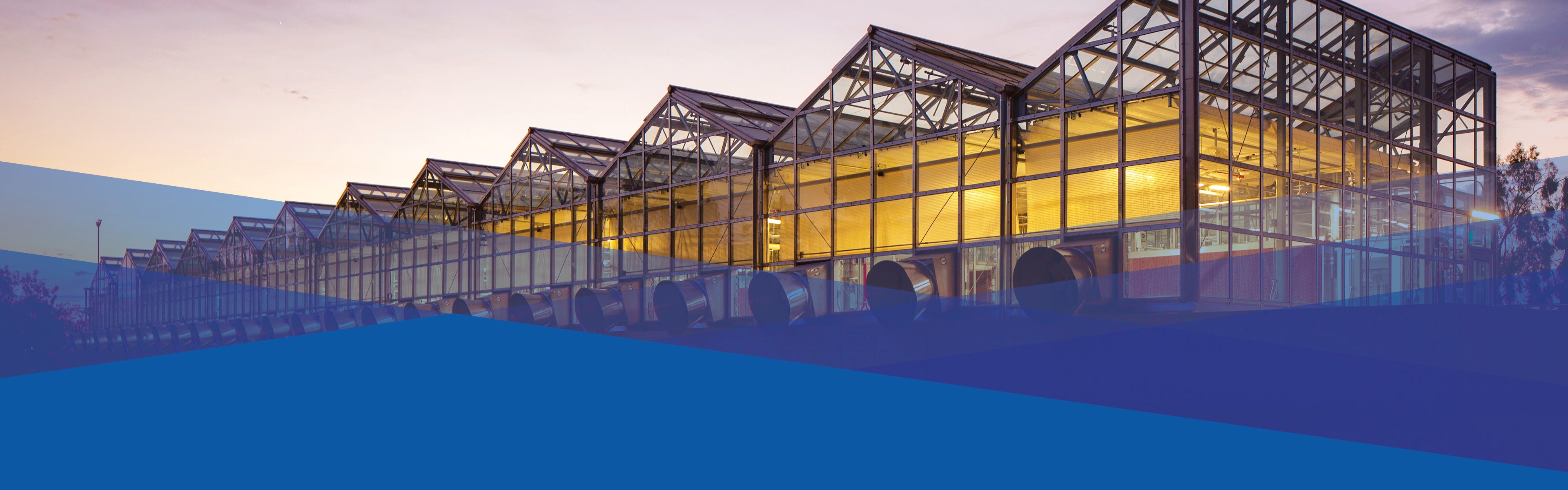 College of Natural & Agricultural Sciences