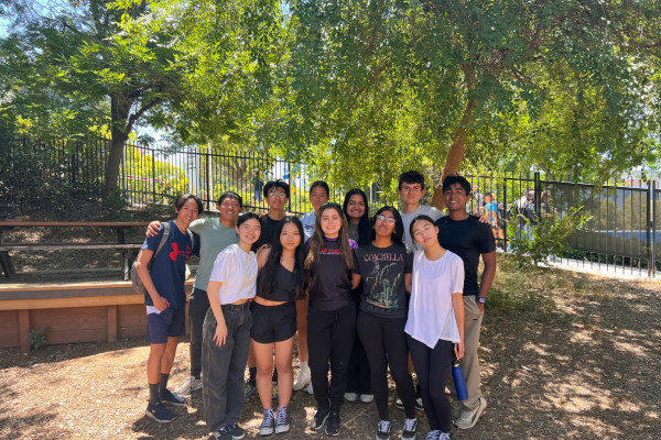 STRIDE students participating in the Ropes Course