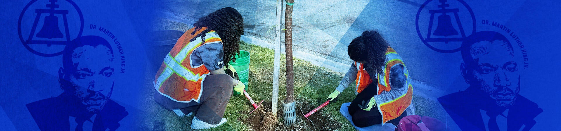 Two volunteers tending to a tree