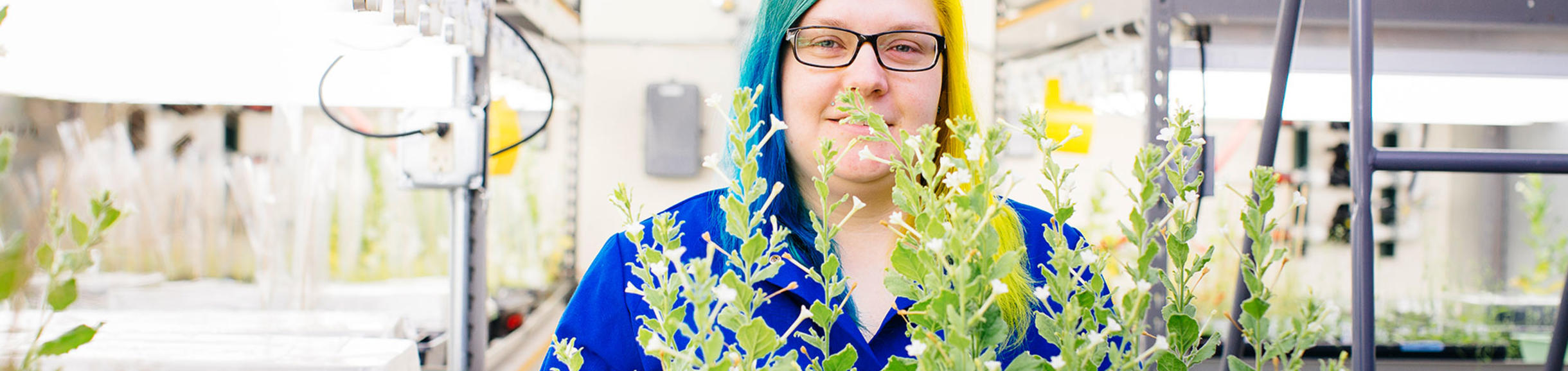 Other ways to attend