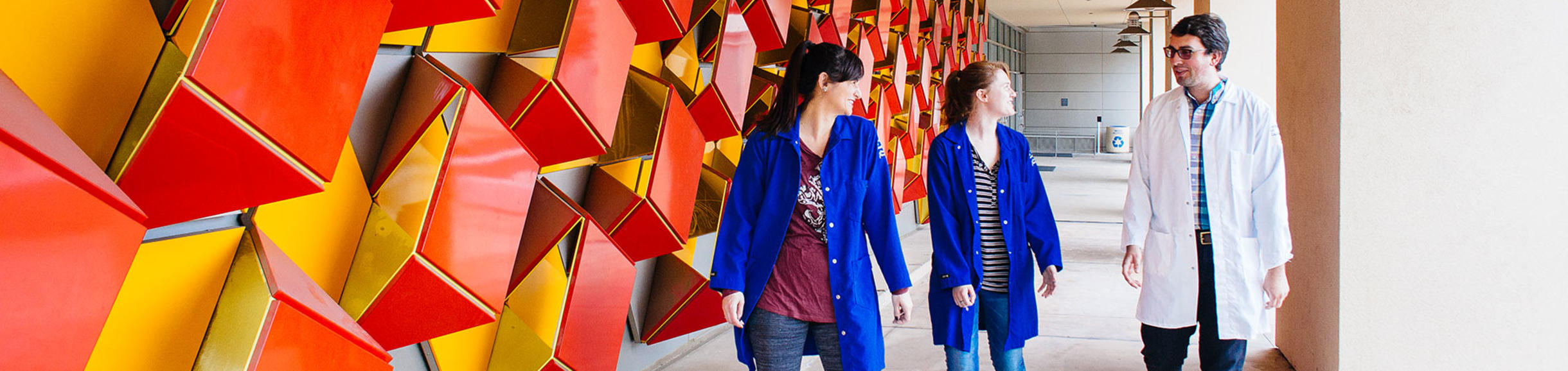 Regulations and Procedures