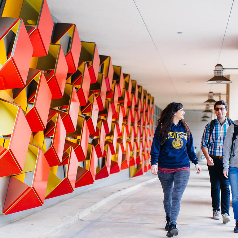 Graduate Student Employment