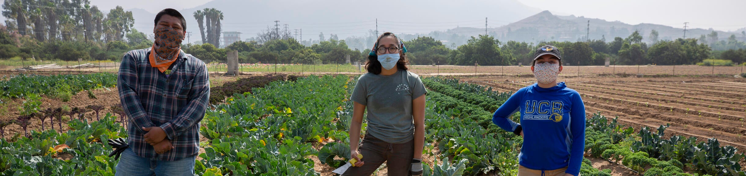 For Undergrads header