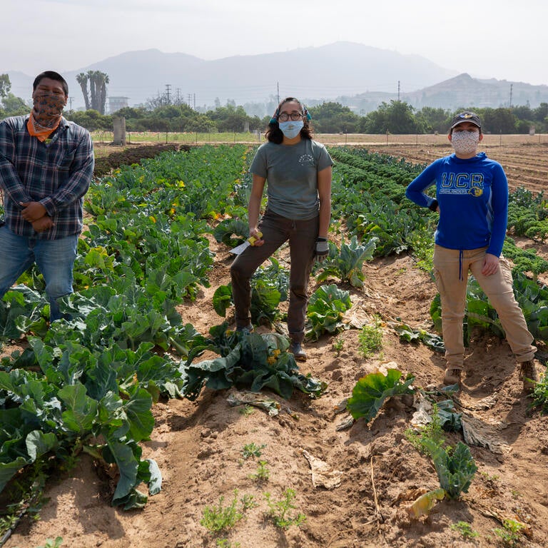 For Undergrads header