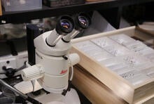 Lab Microscope