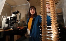 Green Labs Home Picture