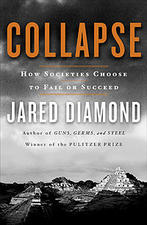 Collapse book cover