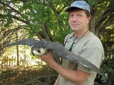 dean malilay (fieldwork) 3