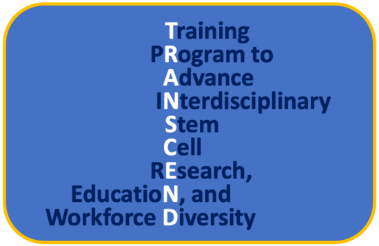 TRANSCEND Word Group