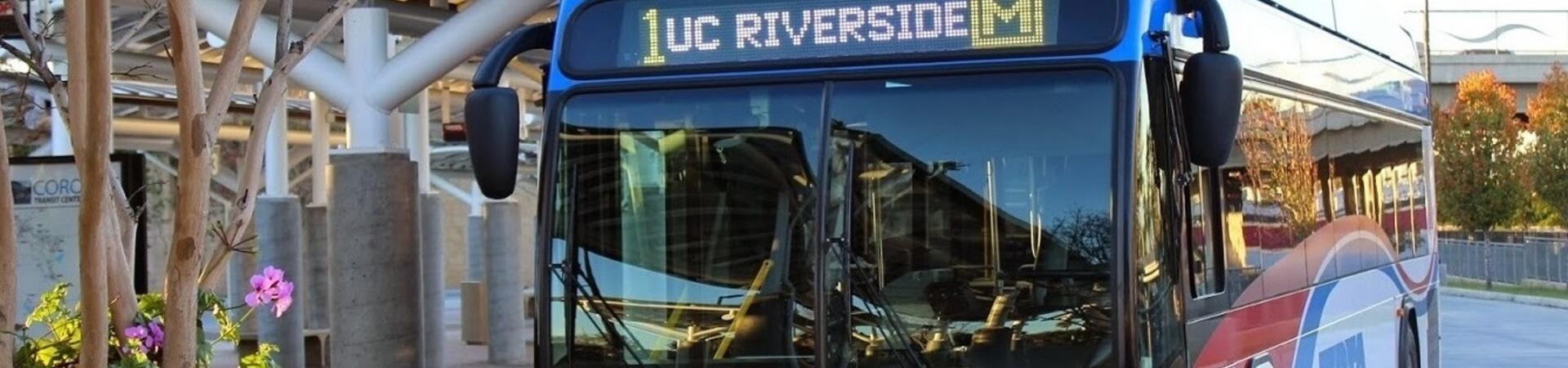 Take the Bus