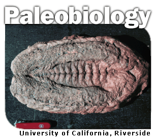 pocket knife.jpg_.gif 