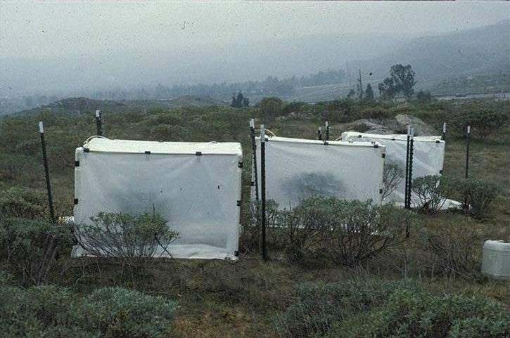 Acid Precipitation Study #1