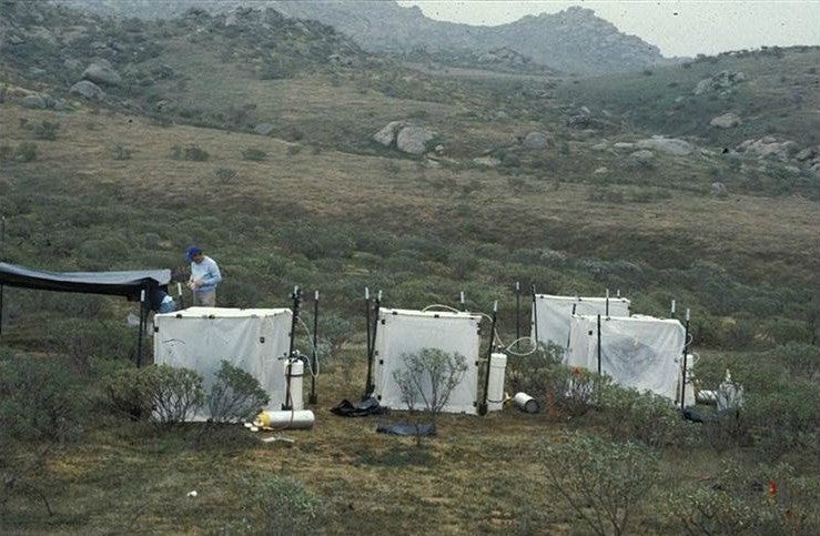 Acid Precipitation Study #2