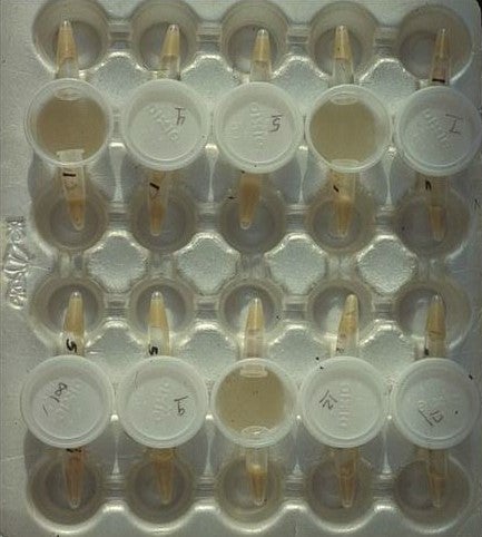 Bioassays for Plant Defensive Chemicals