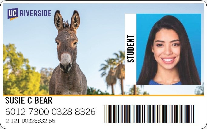 2025 R'card with donkey