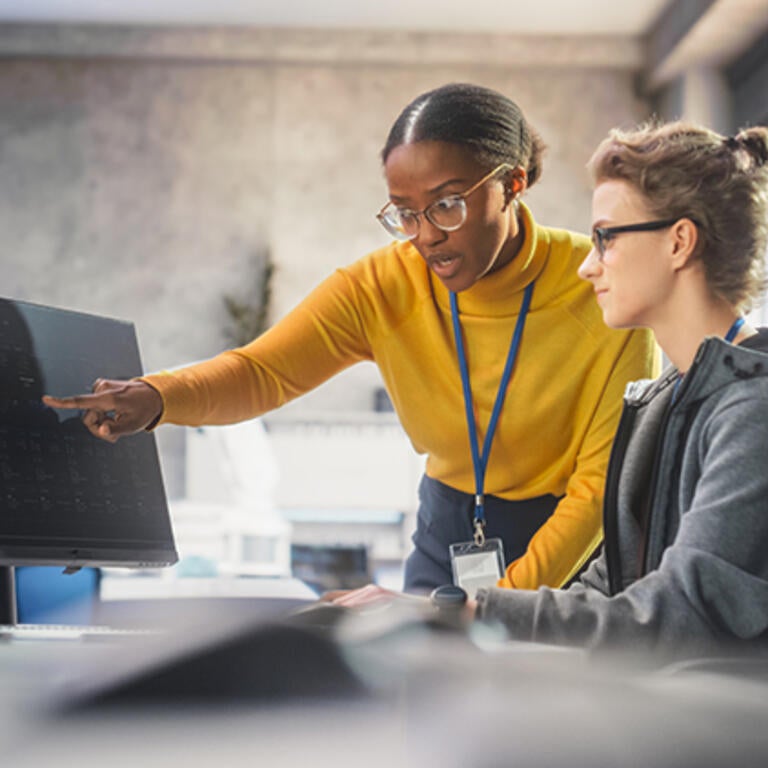 visiting scholar teaching student