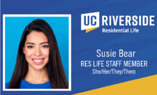 Custom Badge Sample - SOM