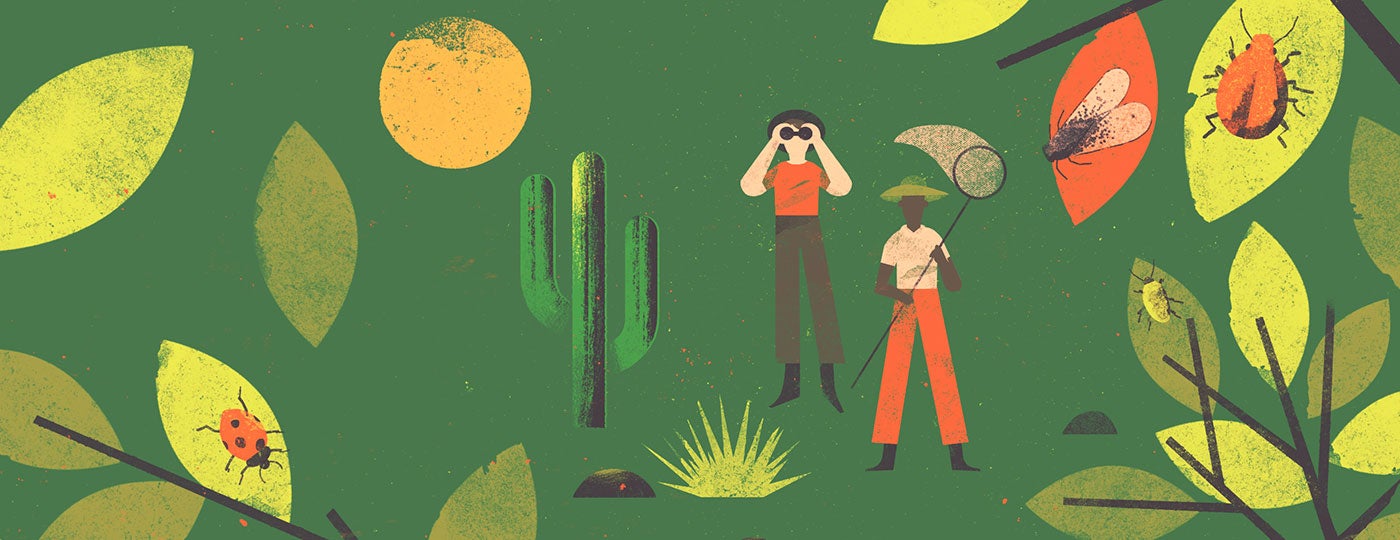 on-the-fly-header image