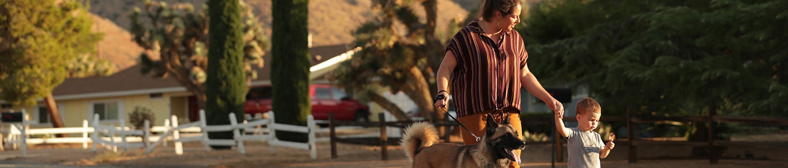 Living in her Lab Photo Bar 2