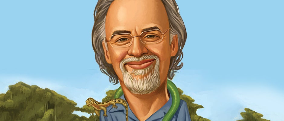 Paul Hamilton illustration