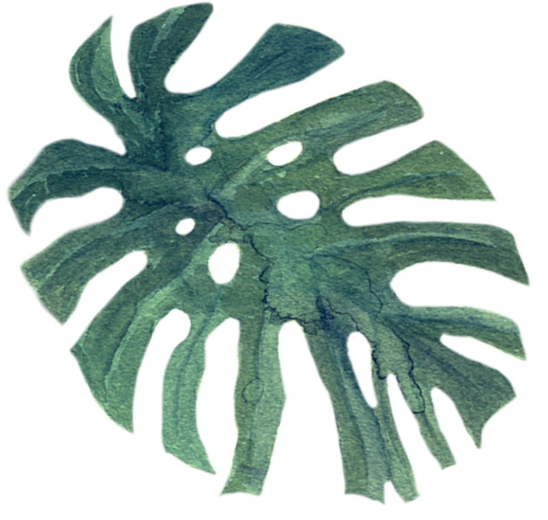 Graphic of a Watercolor Leaf