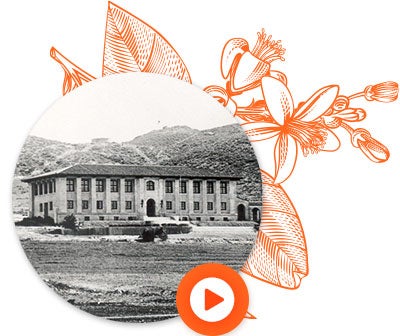 citrus experiment station video