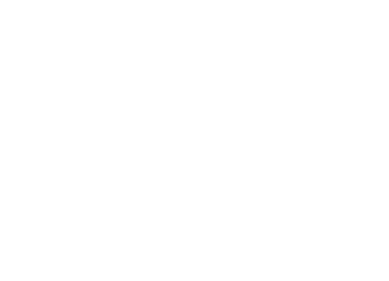 Living the Promise Logo