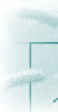 Biofuel illustration