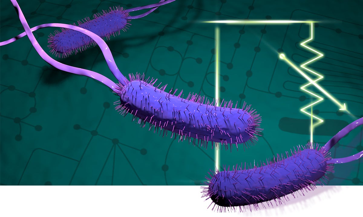 Biofuel illustration