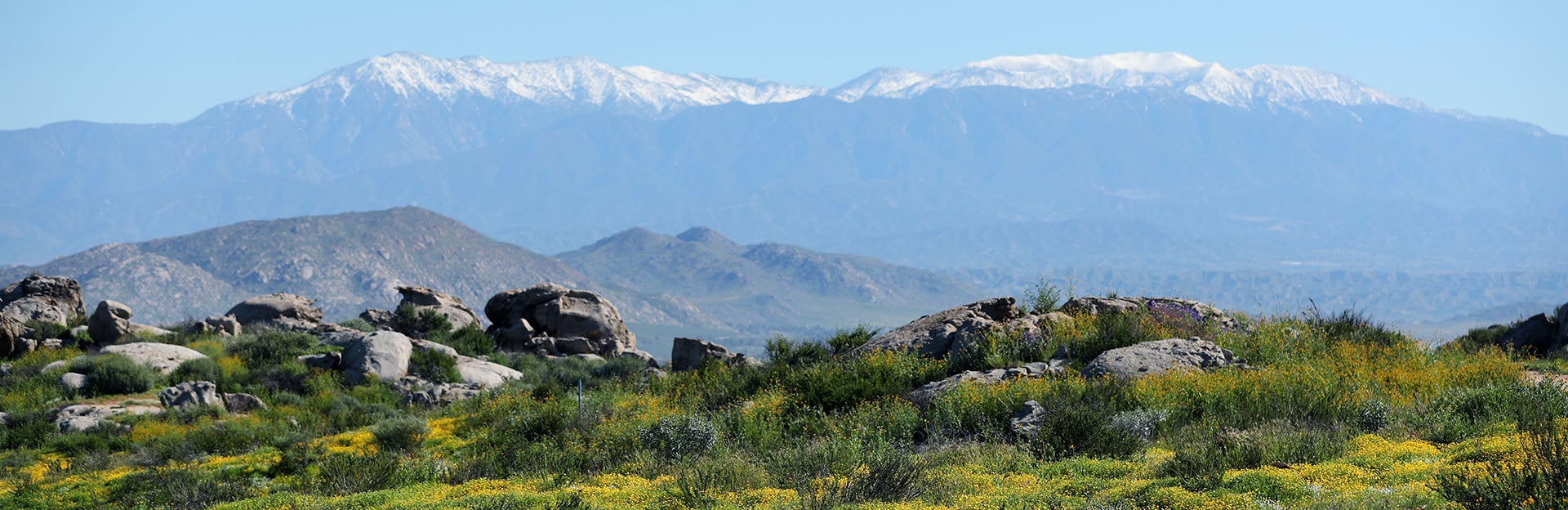 Motte Rimrock UCR Natural Reserve (c) UCR / Stan Lim