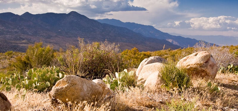 Mt. San Jacinto landscape