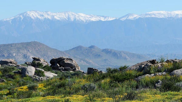 Motte RimrockUCR Natural Reserve (c) UCR / Stan Lim