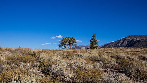 Valentine Eastern Sierra Reserve