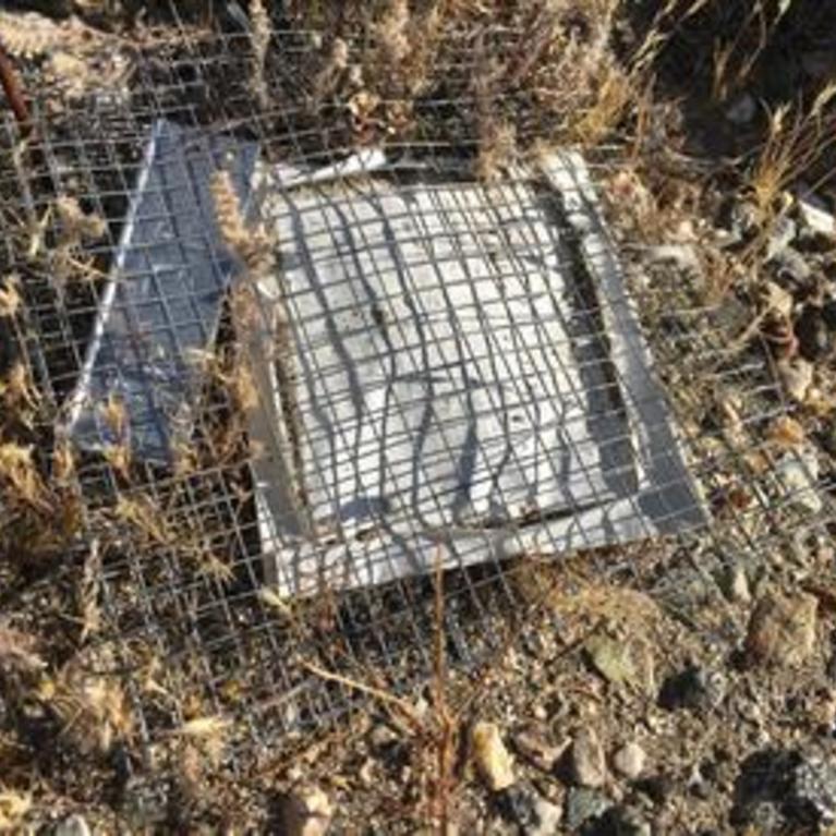 Glassman microbial cage