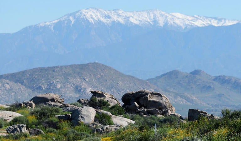 Motte Rimrock Reserve (c) UCR / Stan Lim