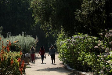 People walking in a flower section of the Botanic Garden