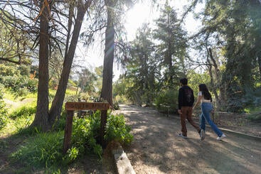 South Africa geographic collection of the Botanic Garden