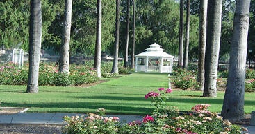 Rose garden and gazebo at Fairmount Park