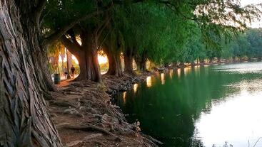 Lake and trees at Fairmount Park