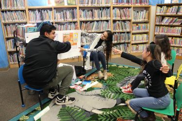 Collaborative Opportunity Grant Collaborative Opportunity Grant